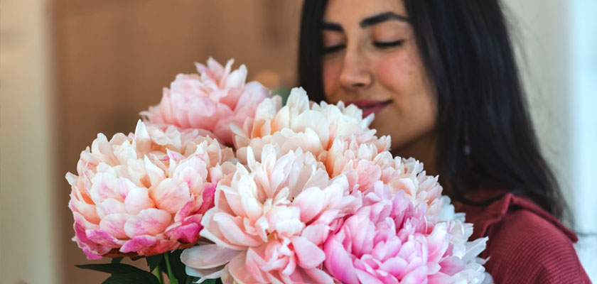 A woman happily holds a lush bouquet of soft pink peonies, showcasing their beauty.