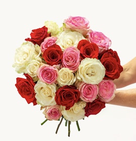 Vibrant bouquet featuring red, pink, and white roses, ideal for celebrating special moments.