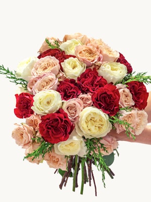 Luxurious floral bouquet featuring red, pink, and white roses with lush greenery accents.