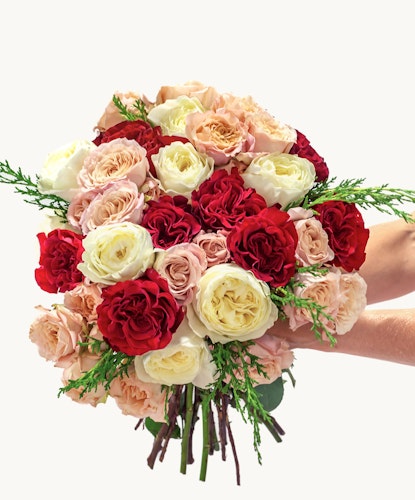 Luxurious floral bouquet featuring red, pink, and white roses with lush greenery accents.