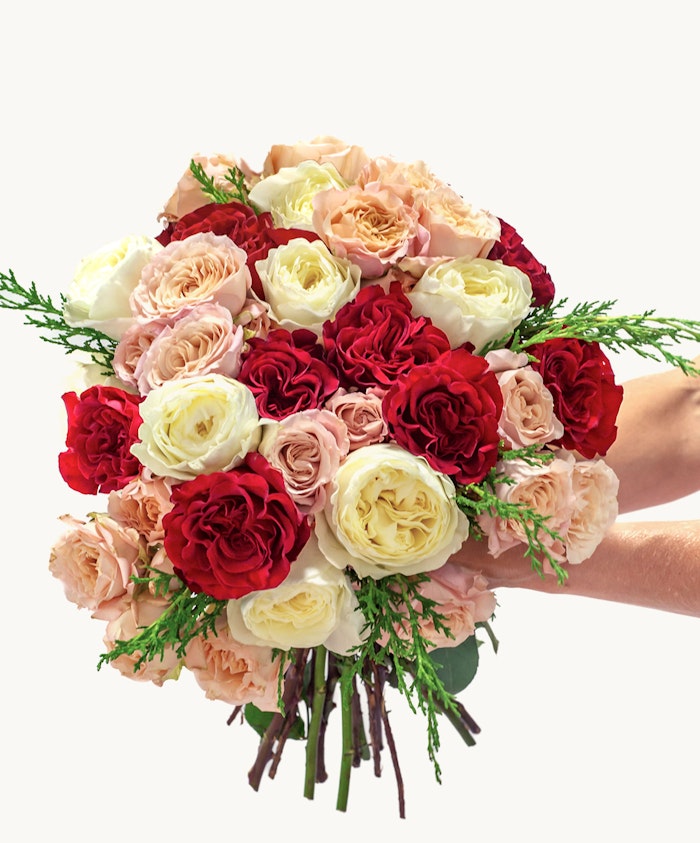Luxurious floral bouquet featuring red, pink, and white roses with lush greenery accents.