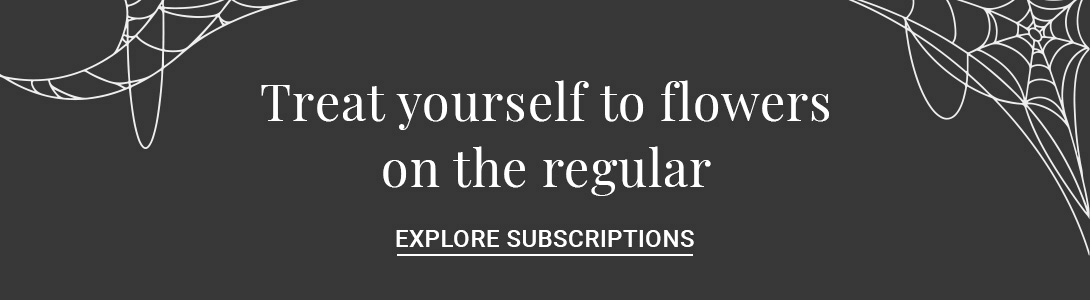 Stylish floral subscription service offering regular deliveries of beautiful flowers.