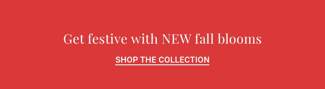 Vibrant fall floral collection featuring seasonal blooms for festive decor.