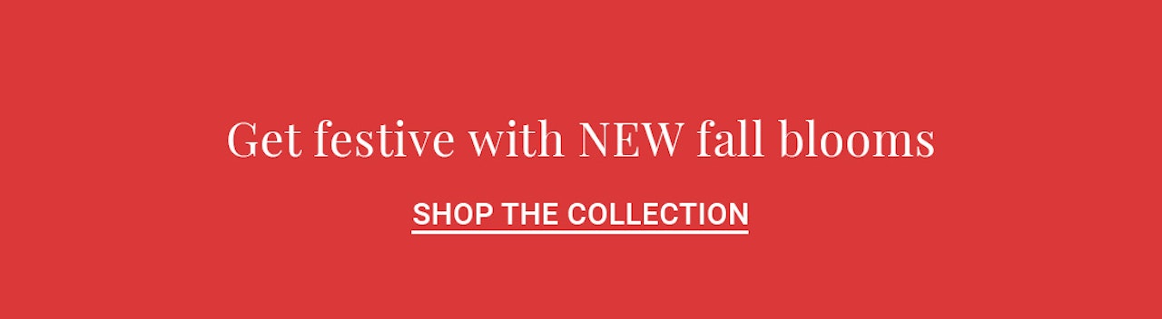 Vibrant fall floral collection featuring seasonal blooms for festive decor.