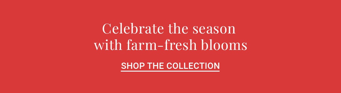 Vibrant seasonal flowers displayed in a charming collection for all occasions.