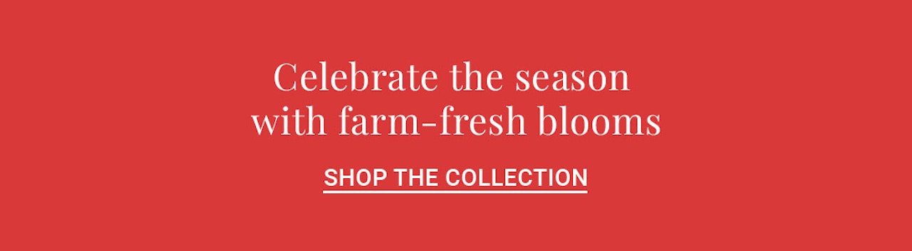 Vibrant seasonal flowers displayed in a charming collection for all occasions.