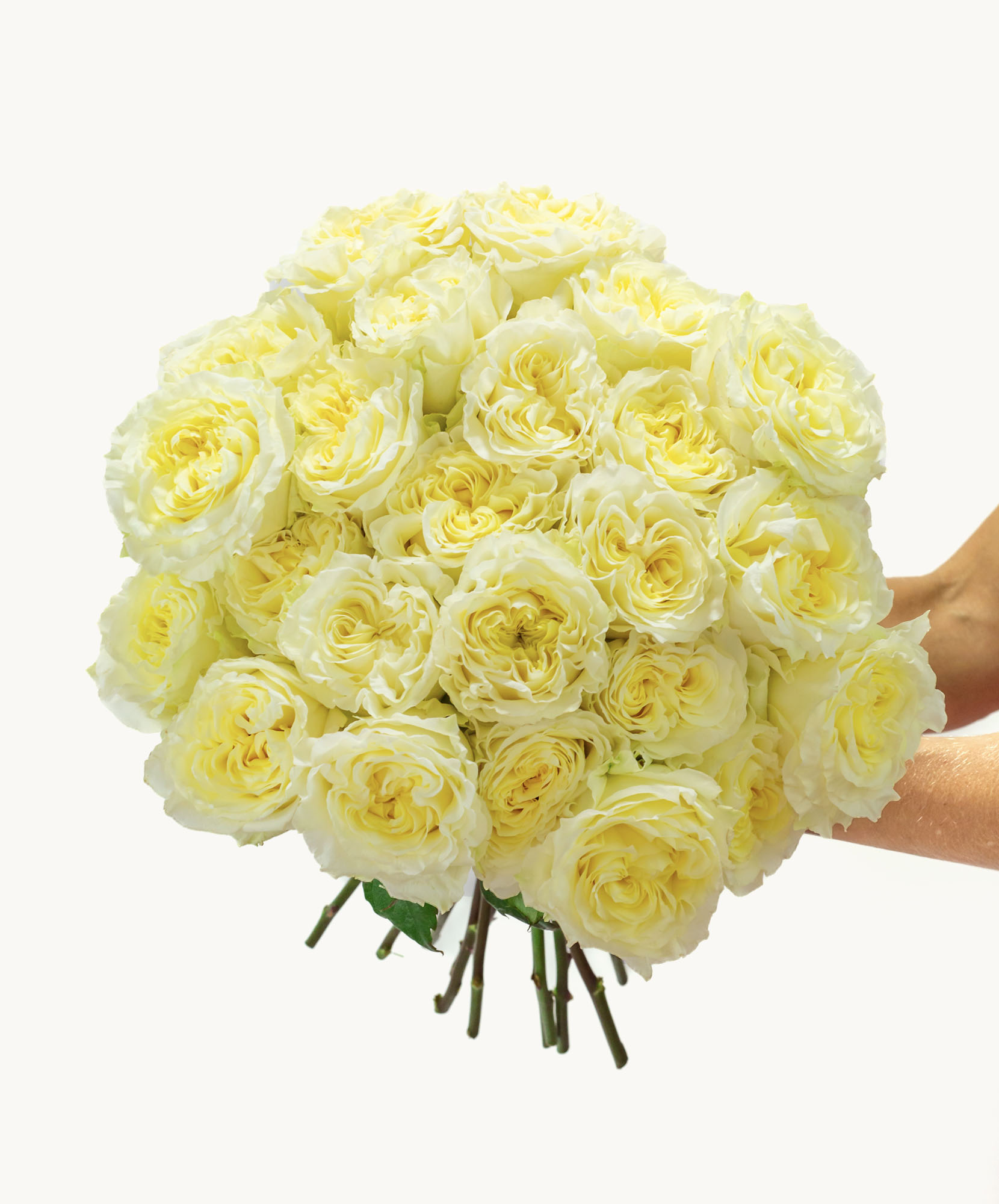 Elegant bouquet of soft yellow roses, handpicked for a touch of bright cheer.