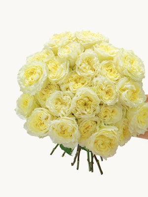 Elegant bouquet of soft yellow roses, handpicked for a touch of bright cheer.