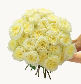 Elegant bouquet of soft yellow roses, handpicked for a touch of bright cheer.