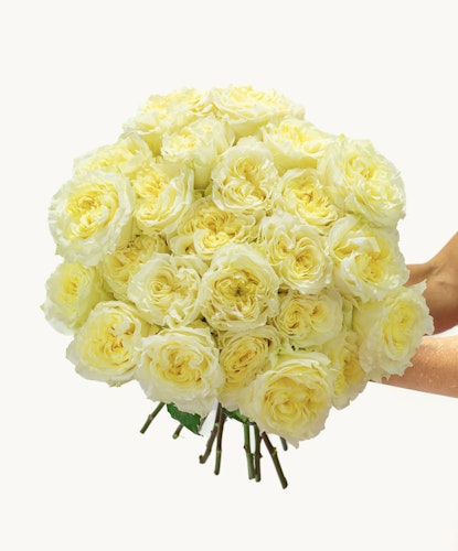 Elegant bouquet of soft yellow roses, handpicked for a touch of bright cheer.