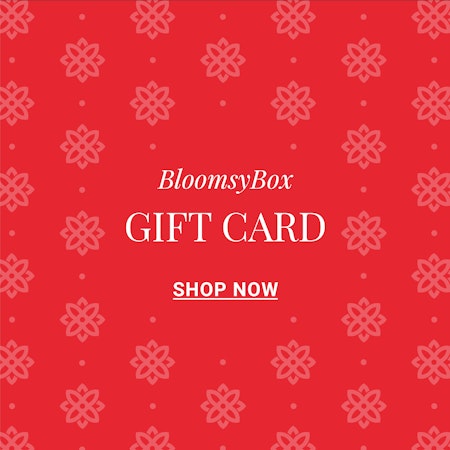 Vibrant red gift card design for BloomsyBox, featuring floral patterns to celebrate gifting.