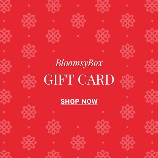 Vibrant red gift card design for BloomsyBox, featuring floral patterns to celebrate gifting.