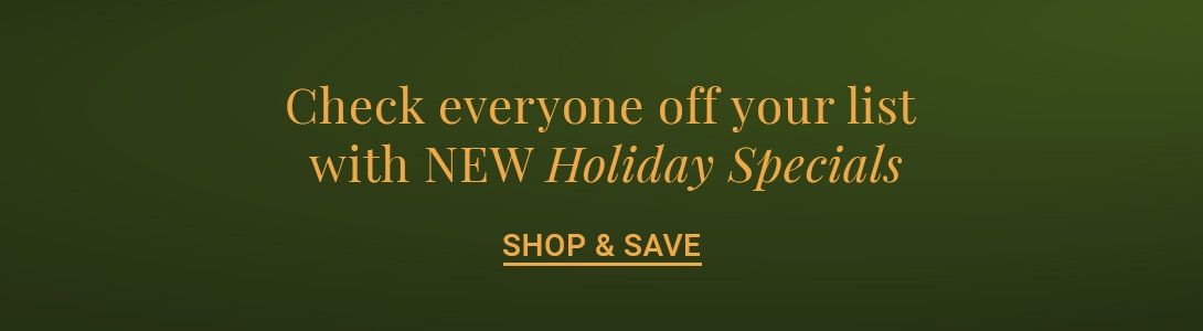 Festive promotional banner highlighting new holiday specials for shopping savings.
