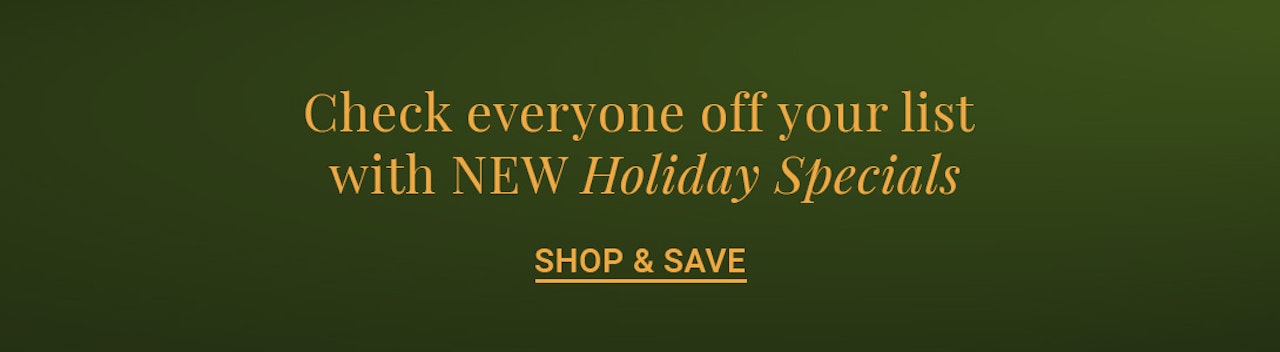 Festive promotional banner highlighting new holiday specials for shopping savings.