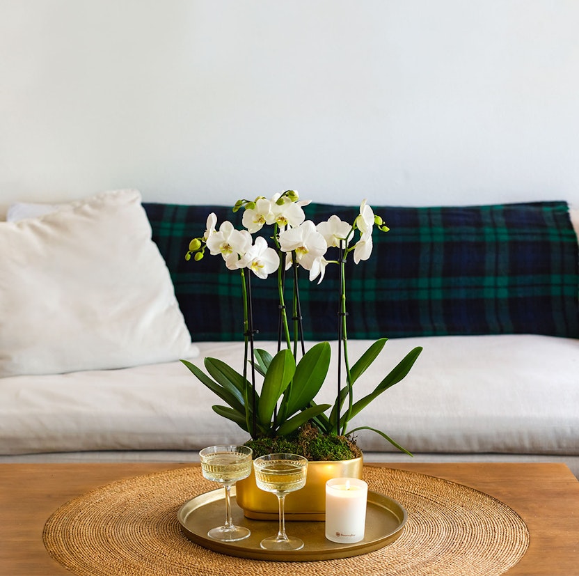 Elegant white orchids in a gold pot, complemented by candles and vintage glassware on a table.