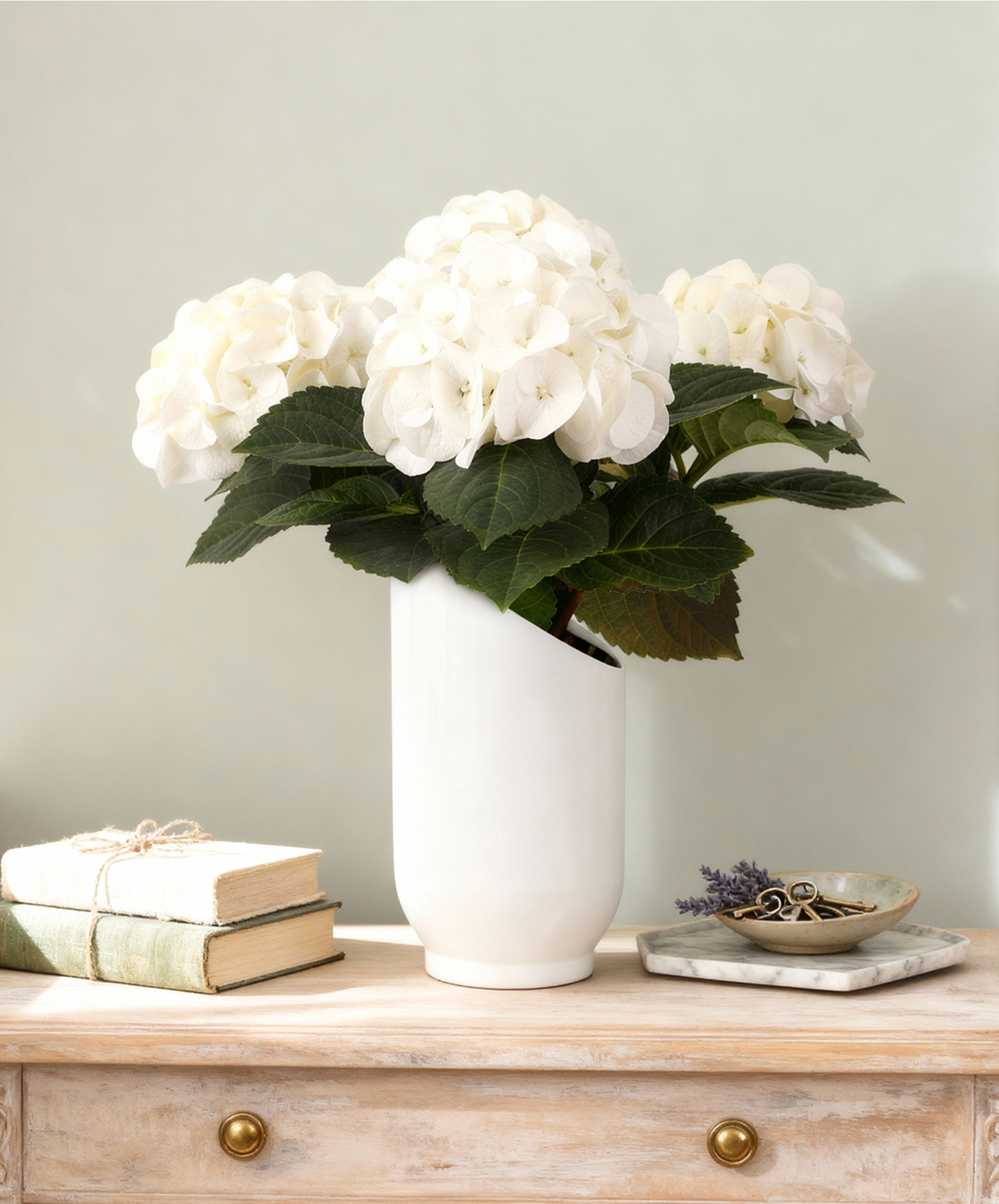 1765301636-pristine-white-