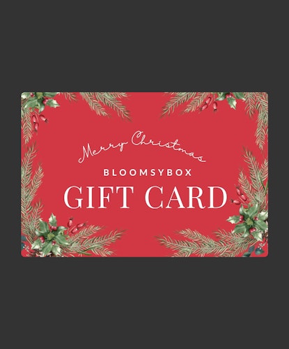 Festive holiday gift card design with Christmas greenery and cheerful red background.