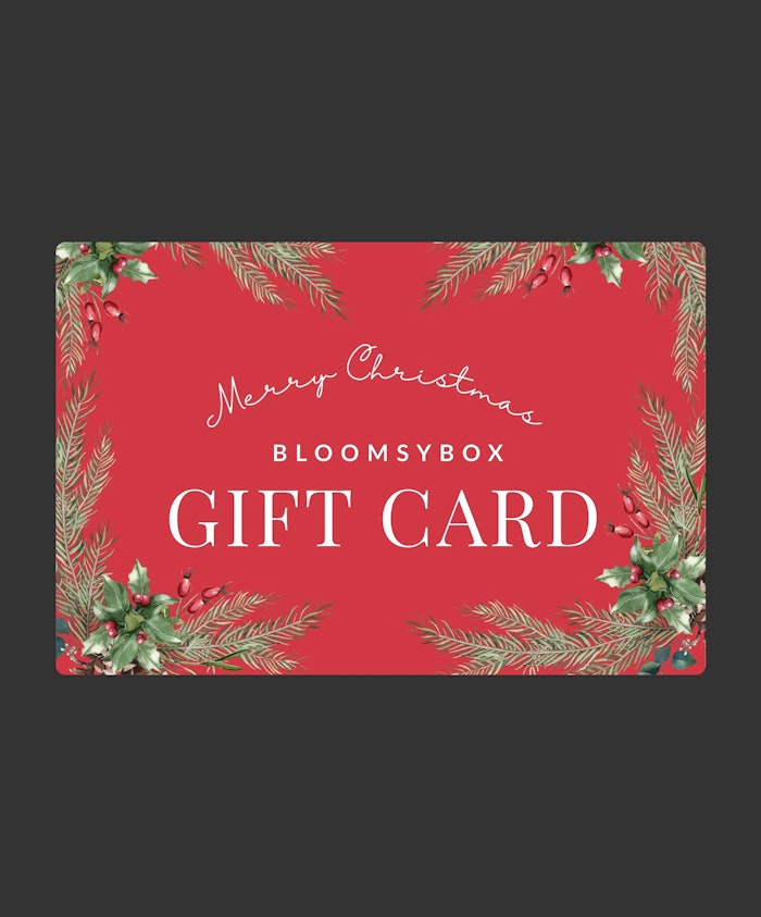 Festive holiday gift card design with Christmas greenery and cheerful red background.