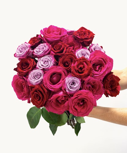 Vibrant bouquet of red and pink roses held delicately, perfect for celebrations.