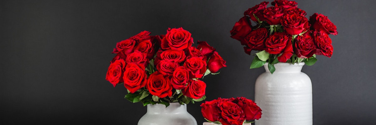 Vibrant red roses in elegant white vases, creating a striking floral display.