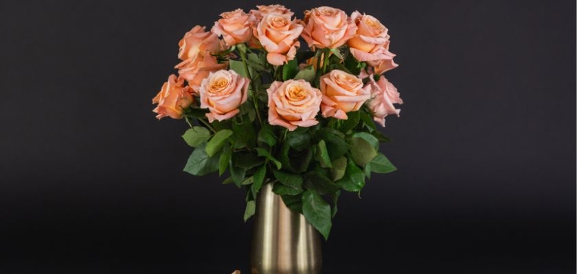 Elegant peach roses arranged in a stylish vase, perfect for gifts and home decor.