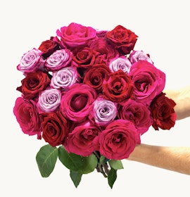 Vibrant bouquet of red, pink, and lavender roses held by a hand, showcasing elegant blooms.