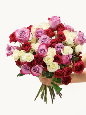 Vibrant bouquet of red, pink, and white roses held in hands, perfect for any celebration.