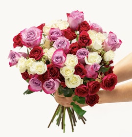 Vibrant bouquet of red, pink, and white roses held in hands, perfect for any celebration.
