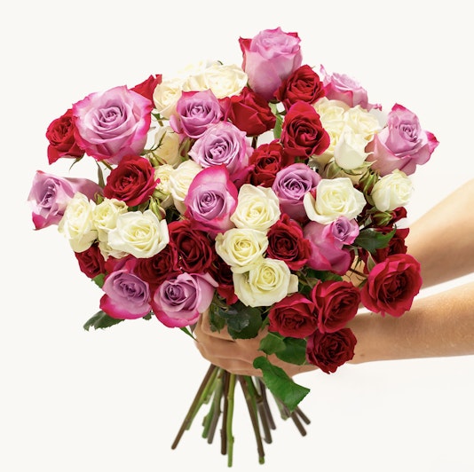 Vibrant bouquet of red, pink, and white roses held in hands, perfect for any celebration.