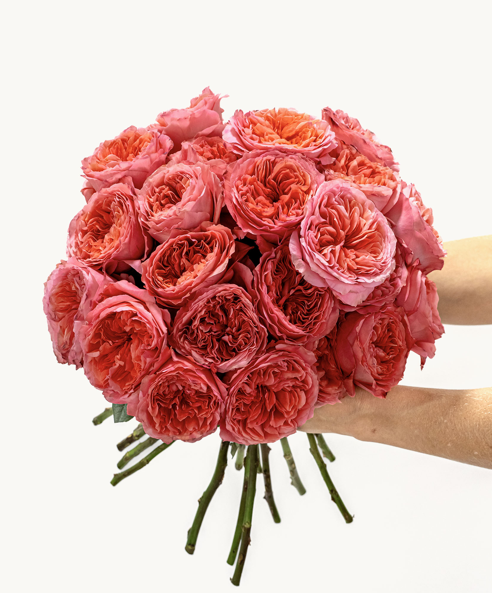 Beautiful bouquet of peach and pink roses, hand-held and elegantly arranged for gifting.
