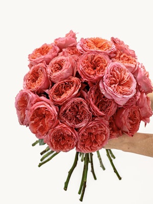 Beautiful bouquet of peach and pink roses, hand-held and elegantly arranged for gifting.