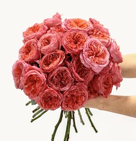 Beautiful bouquet of peach and pink roses, hand-held and elegantly arranged for gifting.