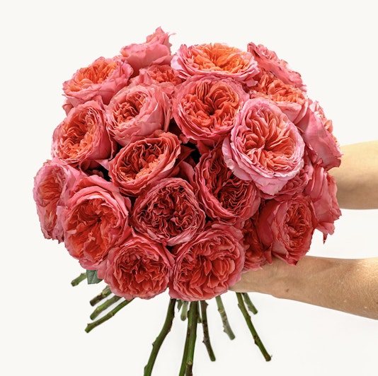 Beautiful bouquet of peach and pink roses, hand-held and elegantly arranged for gifting.