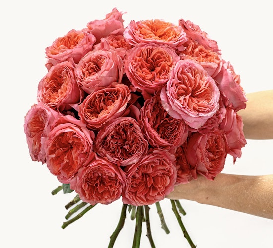 Beautiful bouquet of peach and pink roses, hand-held and elegantly arranged for gifting.