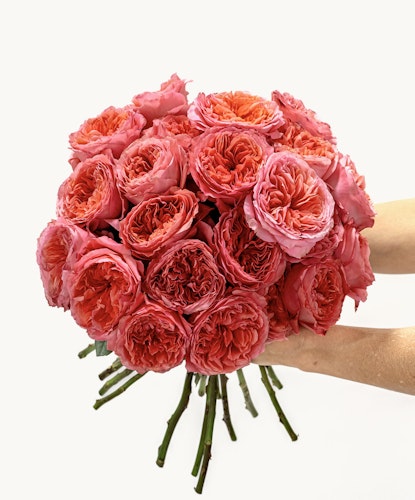 Beautiful bouquet of peach and pink roses, hand-held and elegantly arranged for gifting.