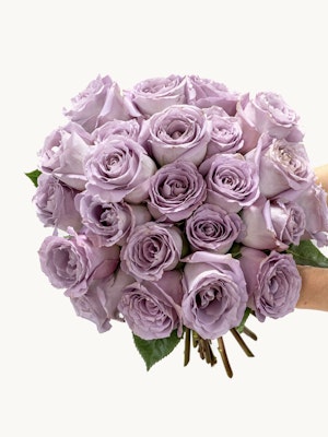 Lavender rose bouquet held by hands, showcasing soft petals and lush greenery.
