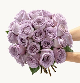 Lavender rose bouquet held by hands, showcasing soft petals and lush greenery.
