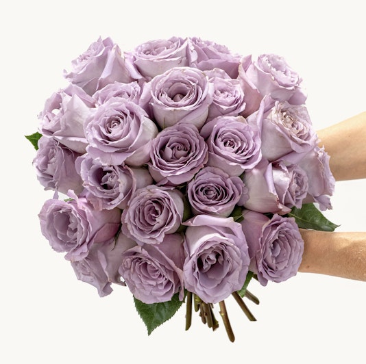 Lavender rose bouquet held by hands, showcasing soft petals and lush greenery.
