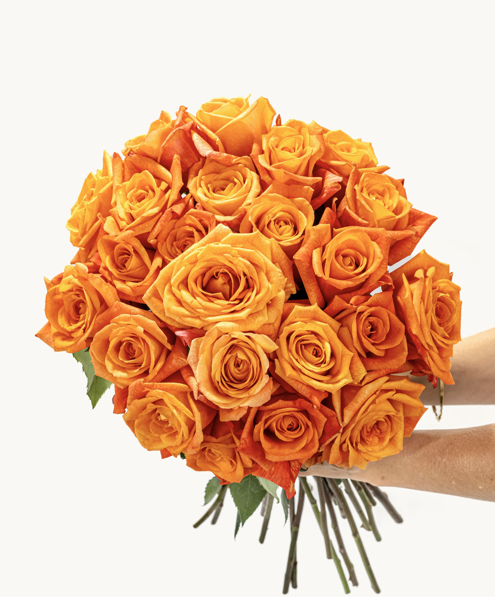 Vibrant bouquet of orange roses, perfectly arranged for a cheerful gift or celebration.