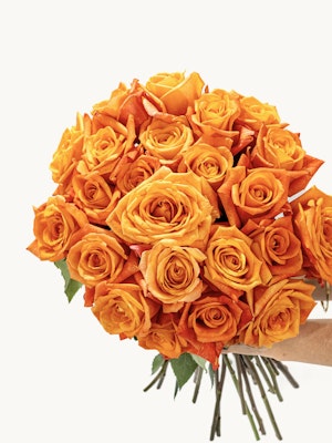Vibrant bouquet of orange roses, perfectly arranged for a cheerful gift or celebration.