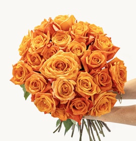 Vibrant bouquet of orange roses, perfectly arranged for a cheerful gift or celebration.