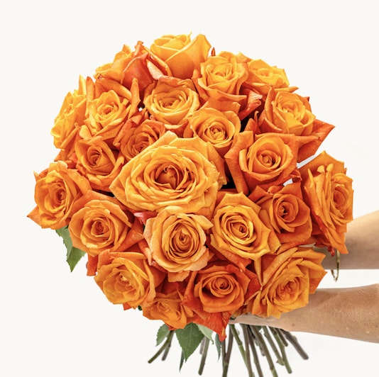 Vibrant bouquet of orange roses, perfectly arranged for a cheerful gift or celebration.