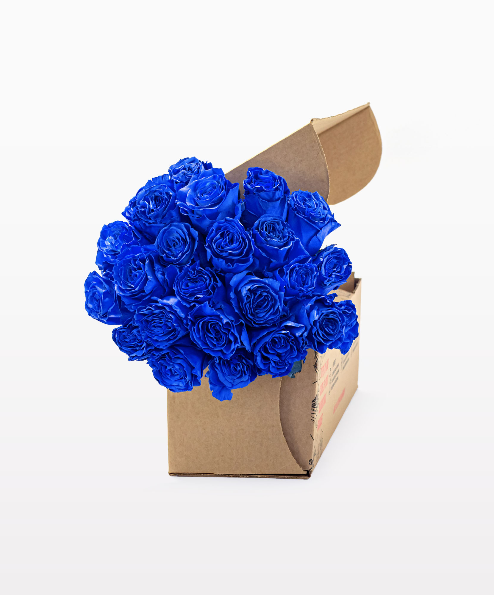 Cobalt Dream - Blue & Purple Floral Mix | BloomsyBox