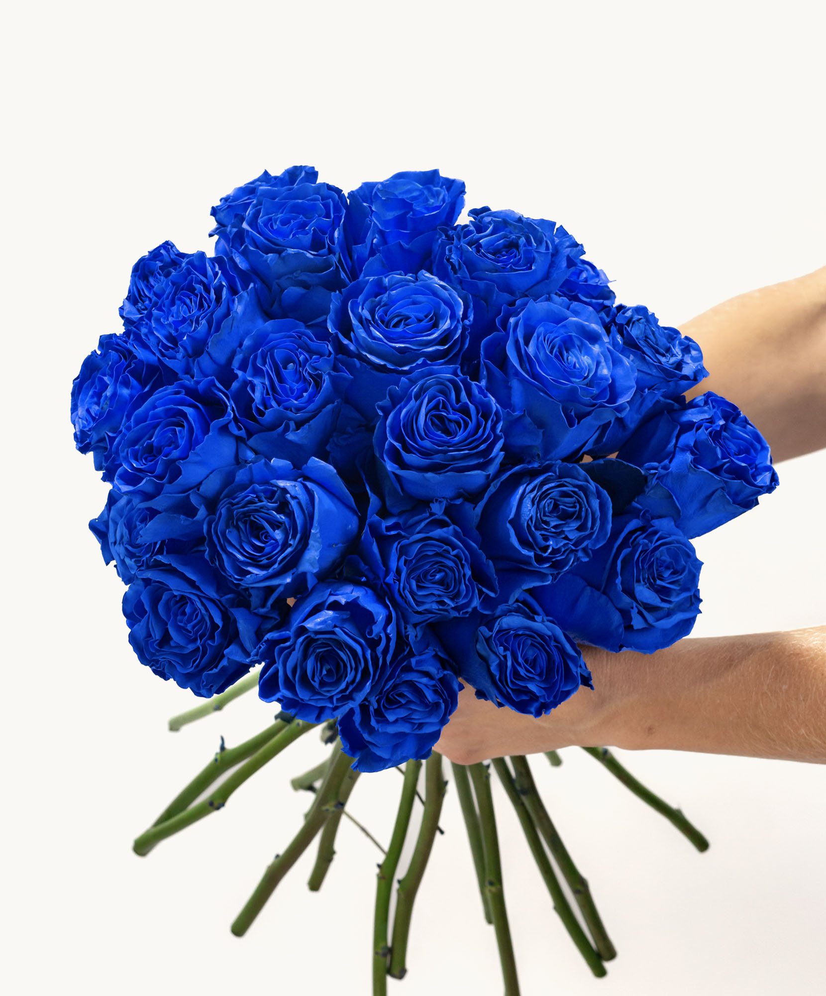 Vibrant bouquet of blue roses held by hands, symbolizing love and uniqueness.