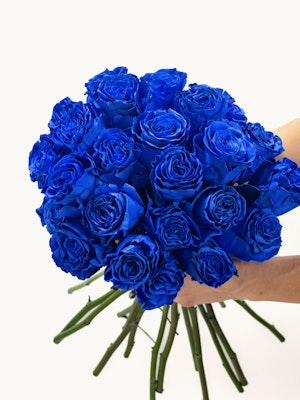 Vibrant bouquet of blue roses held by hands, symbolizing love and uniqueness.