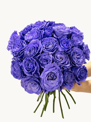Vibrant bouquet of purple roses held by hands, perfect for special occasions.