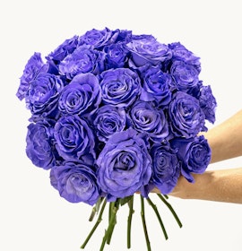 Vibrant bouquet of purple roses held by hands, perfect for special occasions.