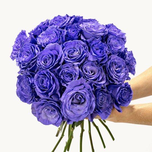 Vibrant bouquet of purple roses held by hands, perfect for special occasions.