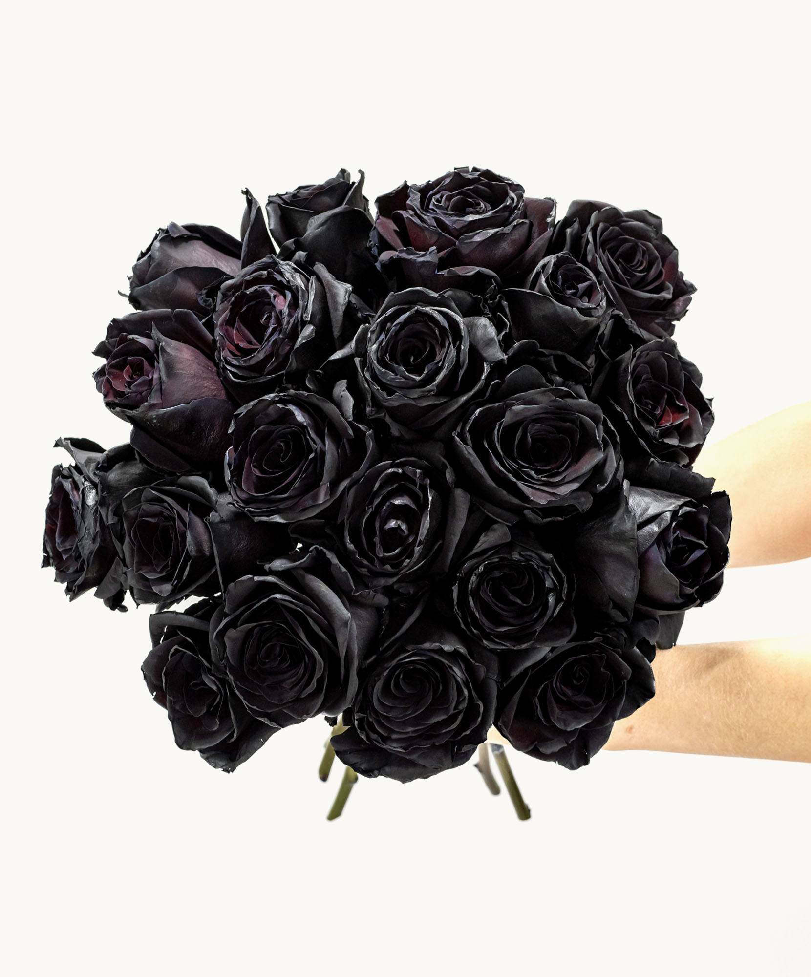 Stunning bouquet of deep black roses, elegantly arranged for a unique floral gift.