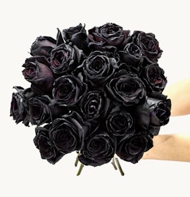 Stunning bouquet of deep black roses, elegantly arranged for a unique floral gift.